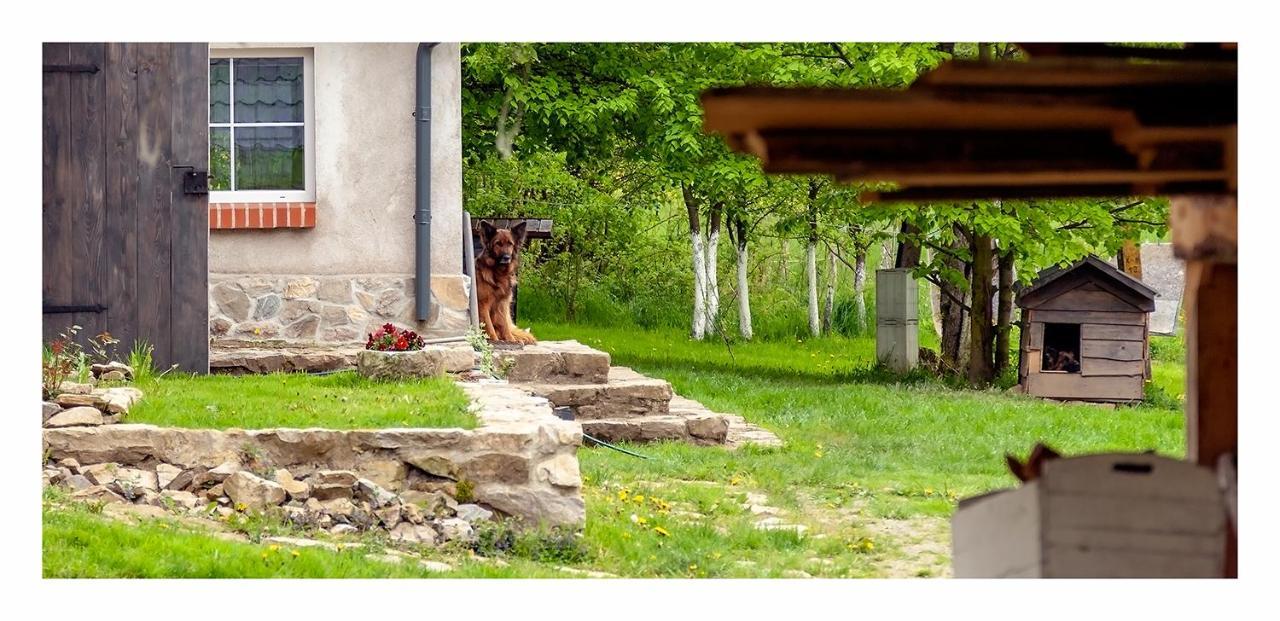 Kozy I Roze Farm stay