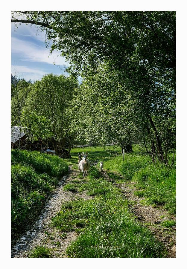 Kozy I Roze Farm stay