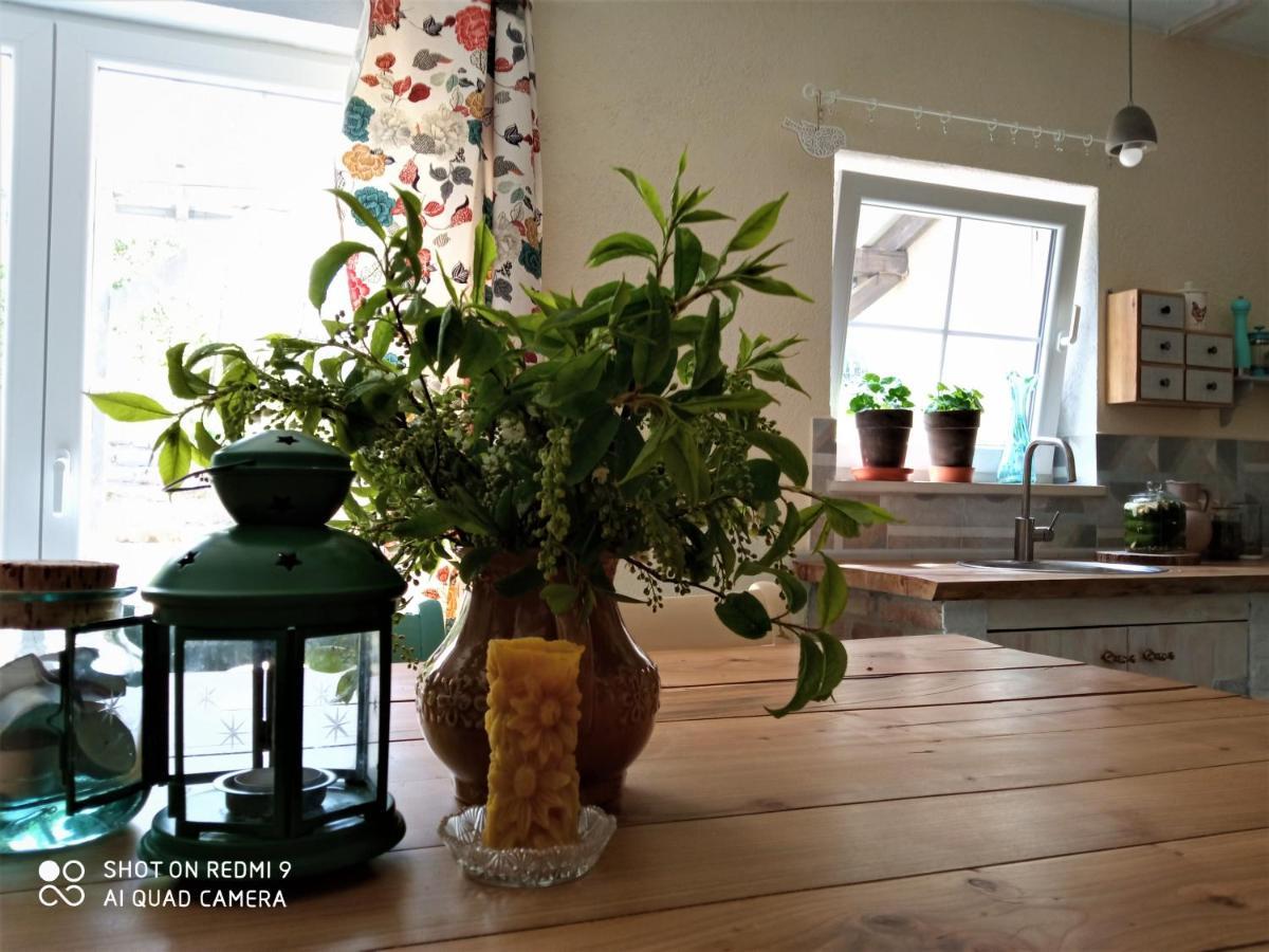 Kozy I Roze Farm stay Oldrzychowice Klodzkie